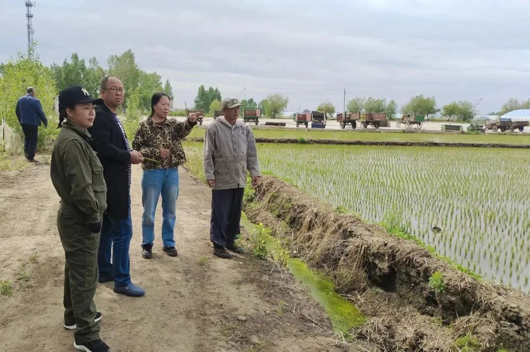 县农业技术推广中心技术人员深入乡镇指导当前水稻生产